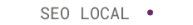 Seo Local